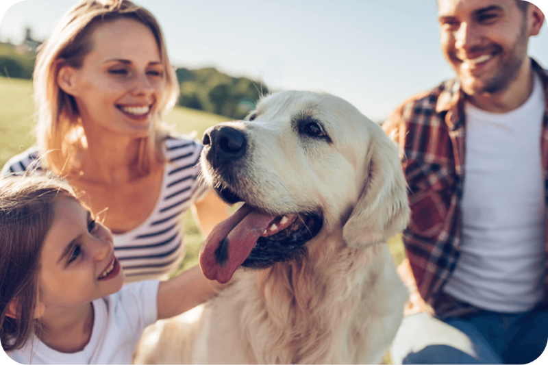 Young-Family-with-Yellow-Lab-1-2-1