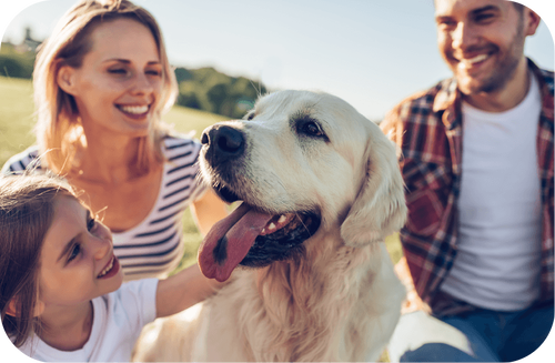 Young-Family-with-Yellow-Lab-1-1